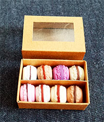 MAC2 (macaron-brown)