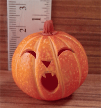 HOP10 (Halloween pumpkin)