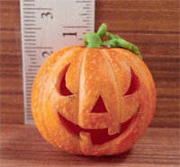 HOP14 (Halloween pumpkin)