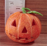 HOP2 (Halloween pumpkin)
