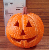 HOP6 (Halloween pumpkin)