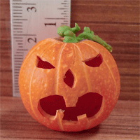 HOP9 (Halloween pumpkin)