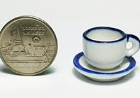 CCSD2010 (coffee cup with a saucer)