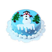 CMC13 (christmas cake)