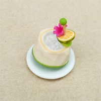 CNT3 (coconut cocktail)