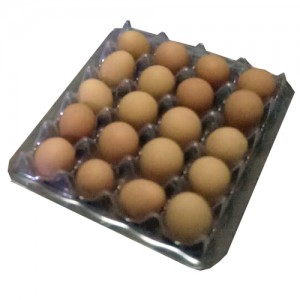 EGP1 (egg pallet)