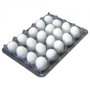 EGP2 (egg pallet)