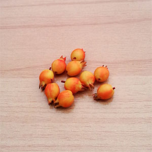 LF5 (pomegranates-set of 10 )