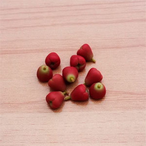LF15 (rose apples-set of 10 )