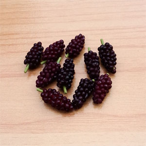 LF18 (grapes-set of 10 )