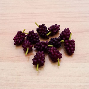 LF19 (grapes-set of 10 )