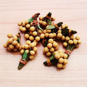 LF22 (longans-set of 10 )