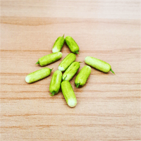 LVEG10 (Set of 10 Vegetables)