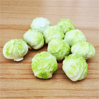 LVEG11 (Set of 10 Vegetables)