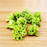 LVEG13 (Set of 10 Vegetables)