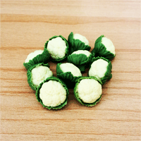 LVEG15 (Set of 10 Vegetables)