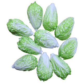 LVEG16 (Set of 10 Vegetables)