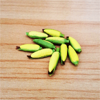 LVEG17 (Set of 10 Vegetables)