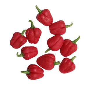 LVEG1 (sweet peppers-Set of 10 )
