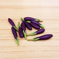 LVEG20 (Set of 10 Vegetables)