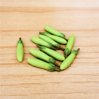 LVEG21 (Set of 10 Vegetables)