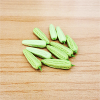 LVEG22 (Set of 10 Vegetables)