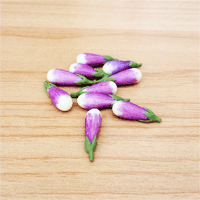 LVEG23 (Set of 10 Vegetables)