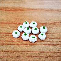 LVEG5 (Set of 10 Vegetables)