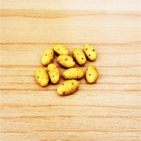 LVEG6 (Set of 10 Vegetables)