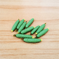 LVEG7 (Set of 10 Vegetables)