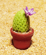 CT10 (mini cactus)
