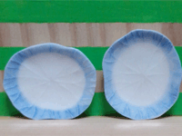 MMPD13 (ceramic plate)