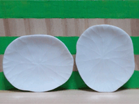 MMPP26 (ceramic plate)