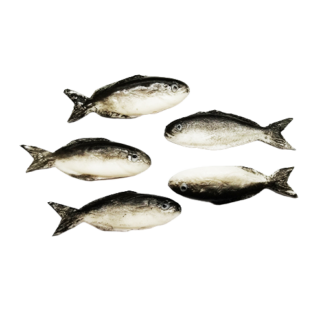 UFS3 (fish-set of 5)