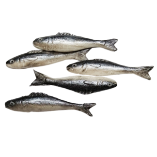 UFS4 (fish-set of 5)